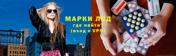 индика Медногорск