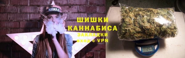 Альфа ПВП Бердск