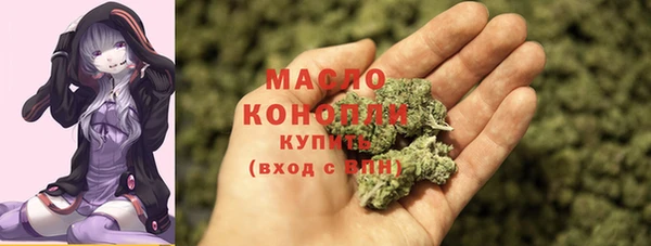 индика Медногорск