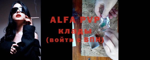 индика Медногорск