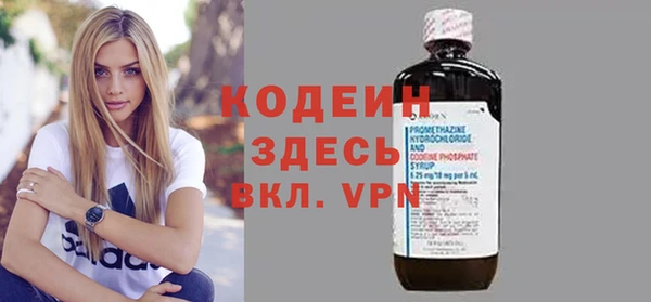 индика Медногорск