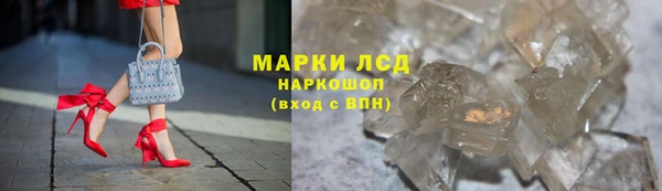 индика Медногорск