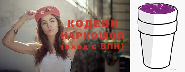 индика Медногорск