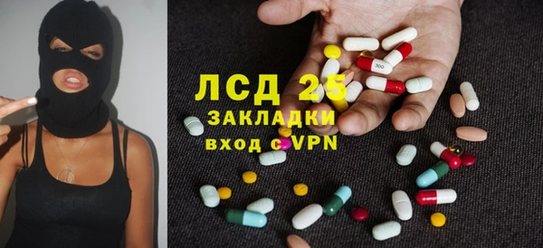 индика Медногорск