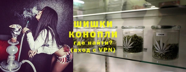 индика Медногорск