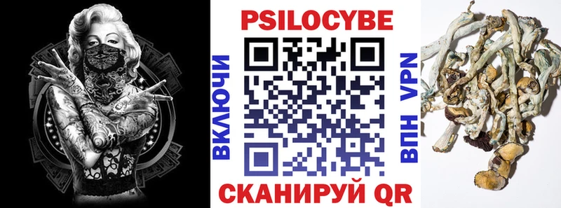 Купить  Клин  Псилоцибиновые грибы прущие грибы 